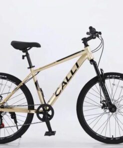 Xe đạp calli M430 màu vàng