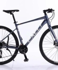 Xe đạp Calli S6000 màu xanh tím