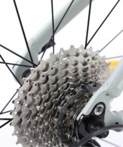 Líp xe đạp Calli r6.5