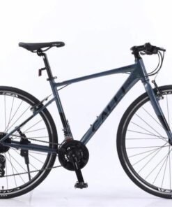 Xe đạp Calli S3000 màu xanh