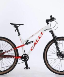 xe đạp Calli 5900 màu trắng