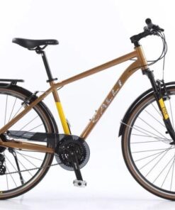 xe đạp Calli H3000 màu nâu vàng