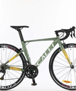 xe đạp Calli r5.5 màu xanh