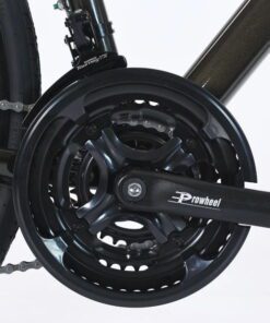 Đùi đĩa Xe đạp Life Ramos