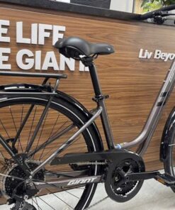 Xe đạp nữ Giant Trooper 5300 bản 2024 mẫu nữ giảm giá + KM 25 Khung Xe đạp Giant Trooper 5300 Bản 2024