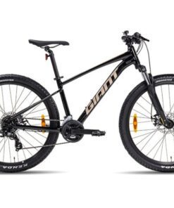 Xe đạp địa Hình Giant Talon 4 Bản 2024