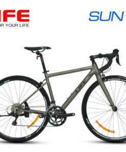 Xe đạp đua Life Sun giá rẻ, linh kiện Shimano Nhật 41 Xe đạp đua life sun màu ghi