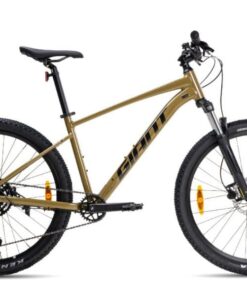 Xe đạp giant Talon 2 bản 2024 màu đồng