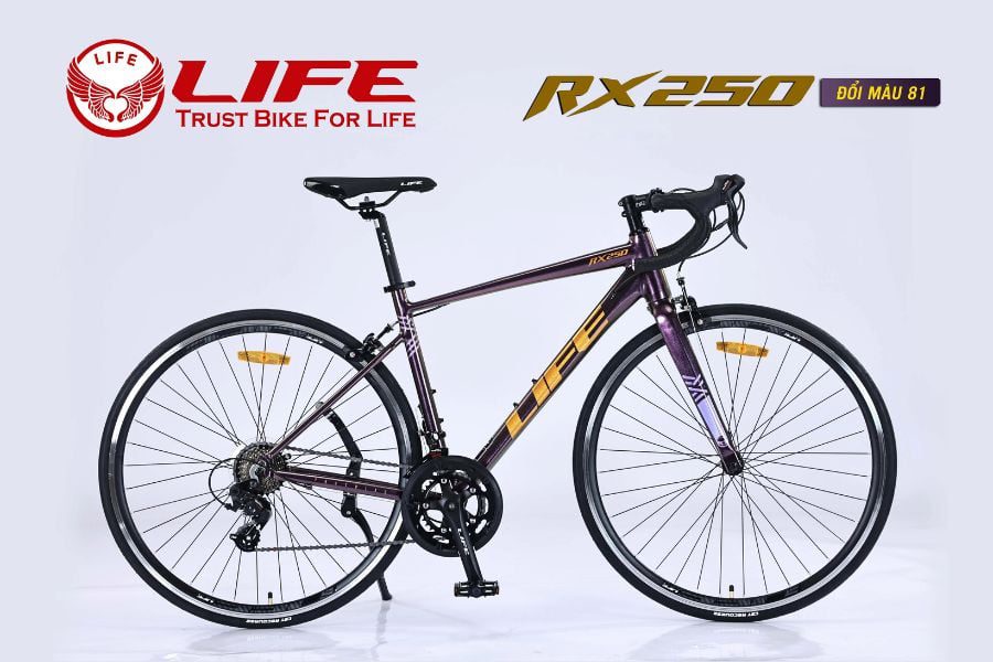 Xe đạp đua Life RX250 giảm giá 1 triệu 41 Xe đạp life rx250 màu tím