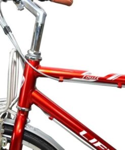 Khung Sườn Xe đạp Life Louis
