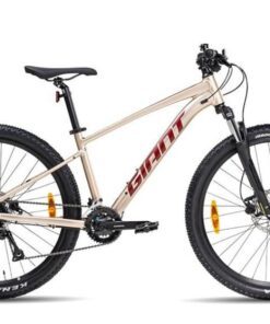 xe đạp Giant Talon 3 bản 2024 màu hồng