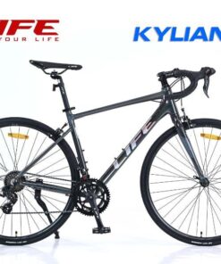 xe đua life kylian màu ghi (2)