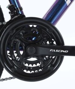 Đùi đĩa Và Củ đề Trước Xe đạp Touring Fascino 818