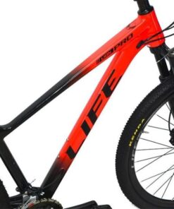 Khung Xe đạp Lion Pro