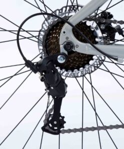 Líp Và Củ đề Sau Xe đạp đua Fascino Triton