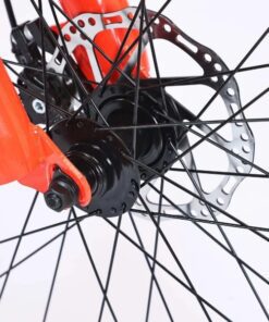 Mayo Xe đạp địa Hình Life Icex 26