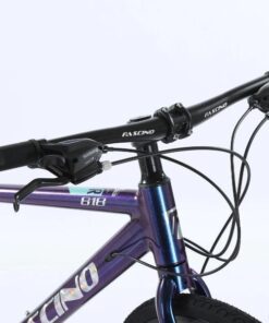 Tay Lái Xe đạp Touring Fascino 818