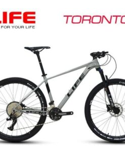 Xe đạp địa hình Life Toronto chất giảm giá 350K 27 Xe đạp địa Hình Life Toronto Màu Ghi
