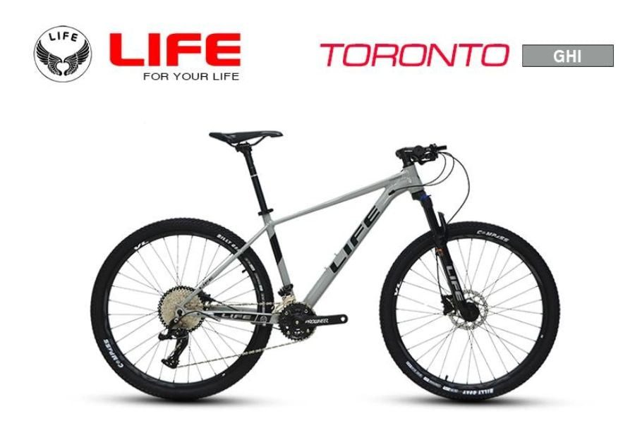 Xe đạp địa hình Life Toronto chất giảm giá 350K 40 Xe đạp địa Hình Life Toronto Màu Ghi