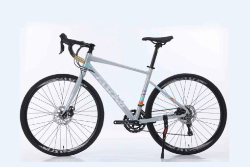 Xe đạp đua Fascino Triton