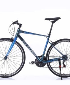 Xe đạp Touring Fascino 838