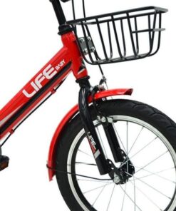 Bánh Trước Xe đạp Life Baby1 16