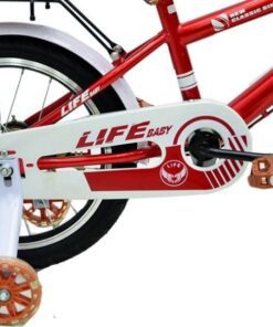 Phần Bánh Sau Xe đạp Life Baby3 16
