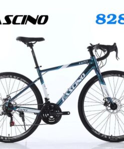Xe đạp đua Fascino 828 Xanh đổi Màu