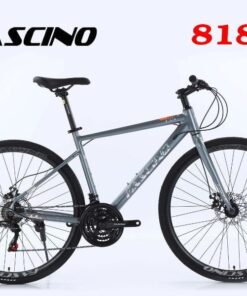 Xe đạp Touring Fascino 818 Màu Ghi Bạc