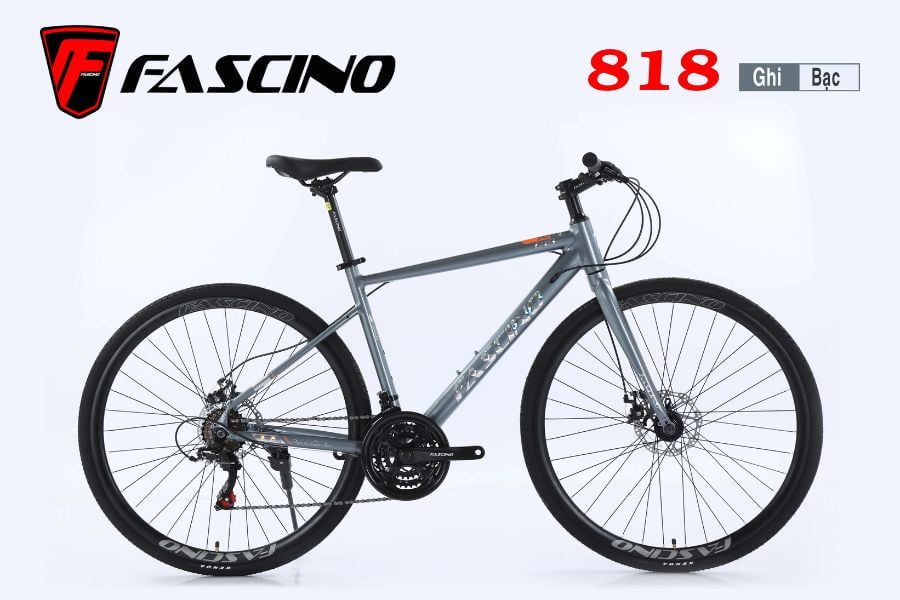 Xe đạp touring Fascino 818 giảm giá 299K 26 Xe đạp Touring Fascino 818 Màu Ghi Bạc