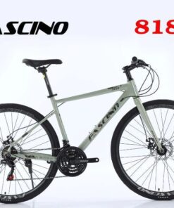 Xe đạp Touring Fascino 818 Màu Ghi đen