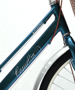 Khung Xe đạp Mini Fascino Camellia