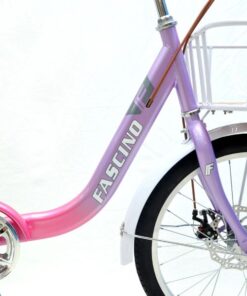 Xe đạp mini nữ Fascino FCD22 giảm giá 300K 25 Khung Sườn Xe đạp Mini Fascino Fcd22