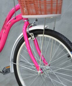 Xe đạp mini nữ Fascino FM22 giảm giá 200K 39 Khung Sườn Xe đạp Mini Nữ Fascino Fm22