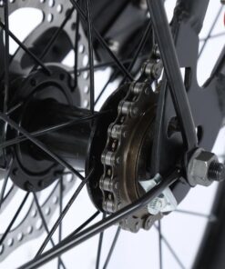 Xe đạp địa hình trẻ em Fascino 122S giảm giá 200K 25 Mayo Sau Xe đạp đia Hình Trẻ Em Fascino 122s