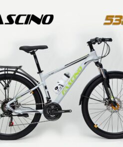 Xe đạp địa hình Fascino 538 giảm giá tốt 299K 20 Xe đạp địa Hình Fascino 538 Màu Ghi Sáng
