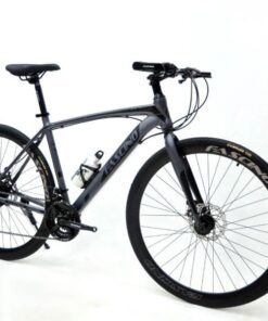 Xe đạp Touring Fascino Ft-700s