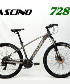 Xe đạp địa hình Fascino 728 giảm sâu 1000K 36 Xe đạp địa Hình Fascino 728 Màu đen Ghi