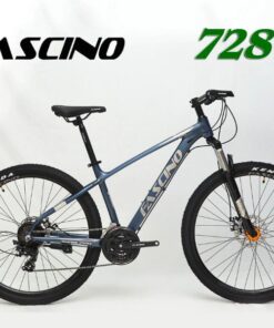 Xe đạp địa Hình Fascino 728 Màu Xanh