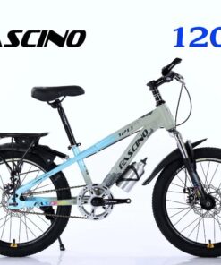 Xe đạp đia Hình Trẻ Em Fascino 120 Màu Xanh Ghi