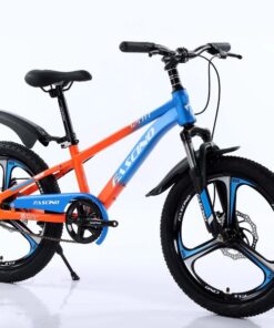 Xe đạp đia Hình Trẻ Em Fascino 120r Vành đúc