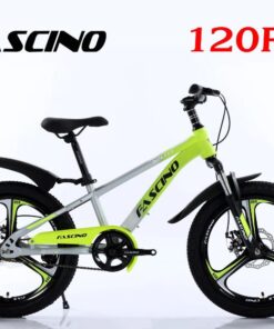 Xe đạp địa hình trẻ em Fascino 120R giảm giá 220K 27 Xe đạp đia Hình Trẻ Em Fascino 120r Vành đúc Màu Bạc Vàng