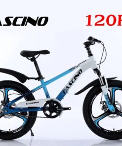 Xe đạp đia Hình Trẻ Em Fascino 120r Vành đúc Màu Xanh Trắng