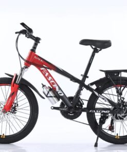 Xe đạp đia Hình Trẻ Em Fascino 120s