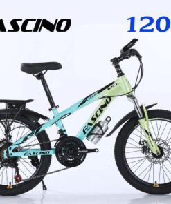 Xe đạp đia Hình Trẻ Em Fascino 120s Màu Xanh Vàng