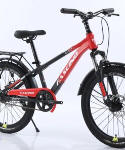 Xe đạp đia Hình Trẻ Em Fascino 122s