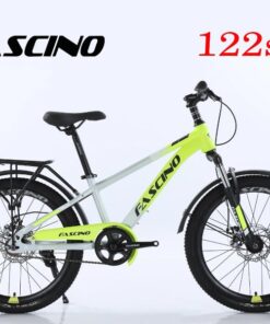 Xe đạp đia Hình Trẻ Em Fascino 122s Màu Ghi Vàng