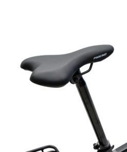 Xe đạp gấp Fascino FD20 giảm giá 300K 49 Yên Xe đạp Gấp Fascino Fd20