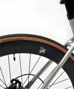 Xe đạp đua cối nổ Papylus PR900 giảm giá + quà tặng 61 Bánh Xe đạp đua Papylus Pr900