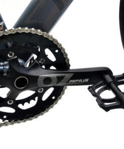 Xe đạp đua cối nổ Papylus PR900 giảm giá + quà tặng 66 Đùi đĩa Xe đạp đua Papylus Pr900